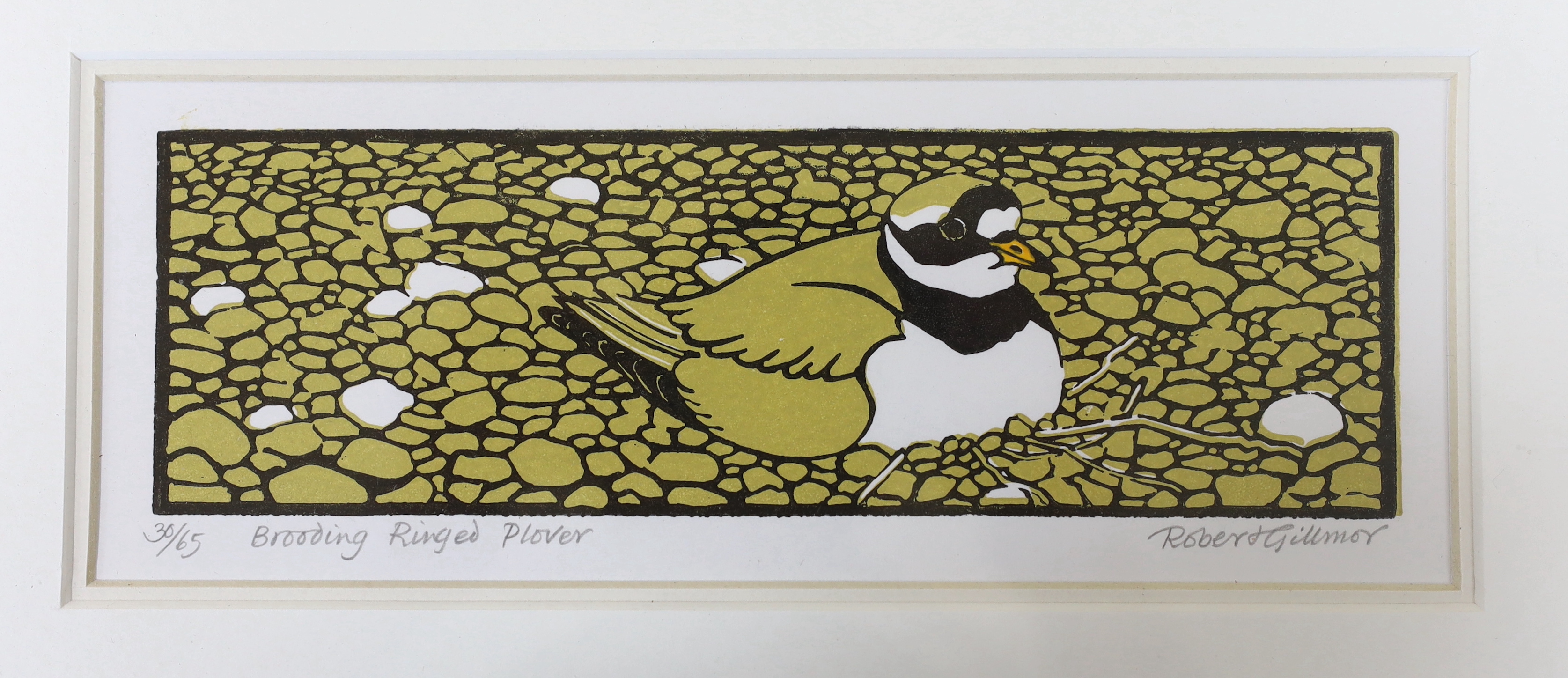 Robert Gillmor (1936-2022) linocut, 'Brooding Ringed Plover', limited edition 30 of 65, signed in pencil, 22 x 8cm